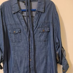 3X Denim Dress